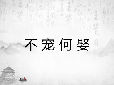 不宠何娶 不宠何娶