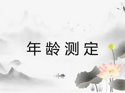 年龄测定 年龄测定