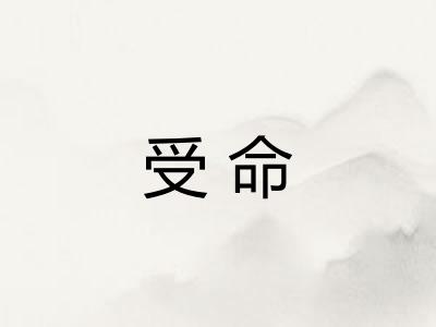 受命