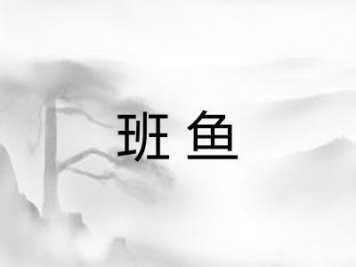 班鱼 班鱼
