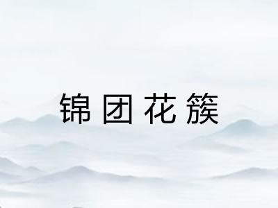 锦团花簇