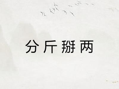 分斤掰两 分斤掰两