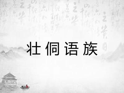 壮侗语族 壮侗语族