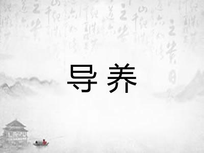 导养 导养