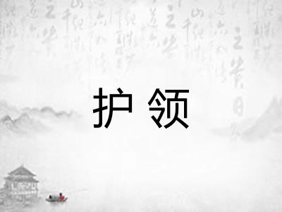 护领 护领