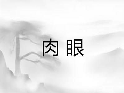 肉眼