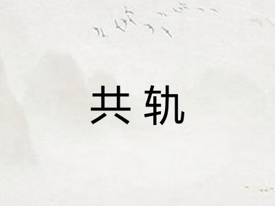 共轨 共轨