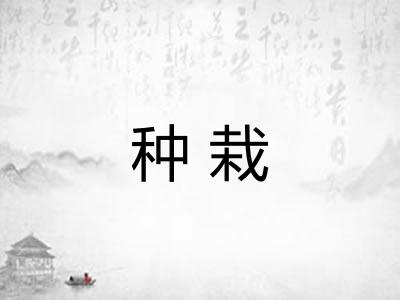种栽