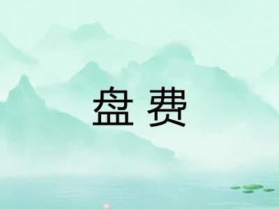 盘费