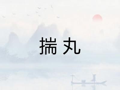 揣丸 揣丸