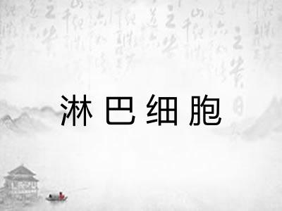 淋巴细胞 淋巴细胞