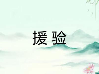援验