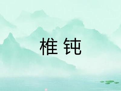 椎钝