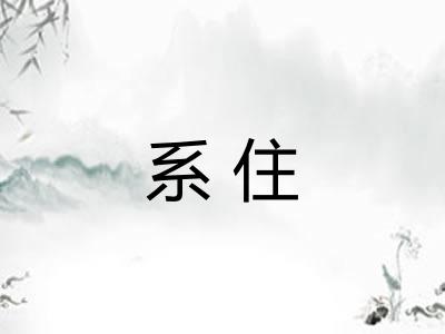 系住