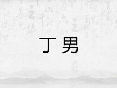 丁男