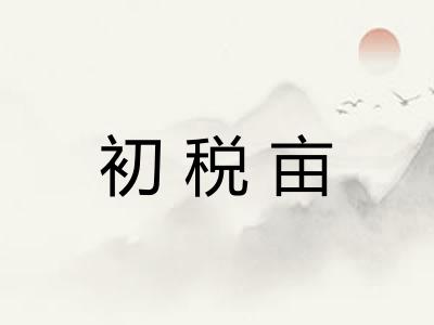 初税亩