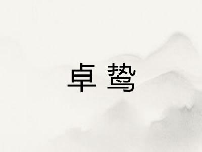 卓鸷 卓鸷