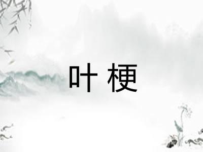 叶梗 叶梗