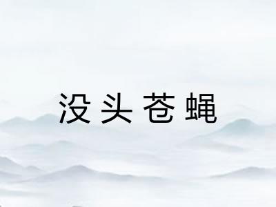没头苍蝇