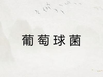 葡萄球菌 葡萄球菌