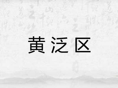 黄泛区 黄泛区