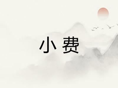 小费