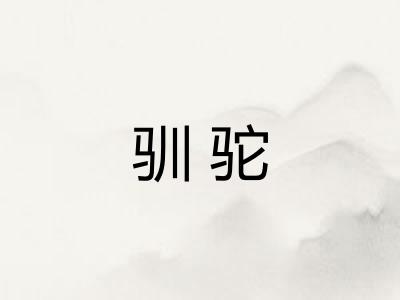 驯驼