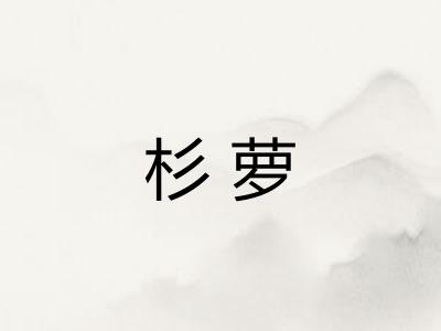 杉萝