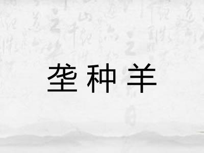 垄种羊 垄种羊