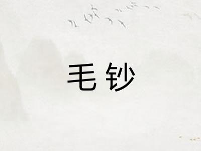 毛钞 毛钞