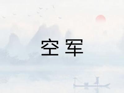 空军 空军