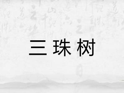 三珠树 三珠树