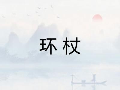 环杖 环杖