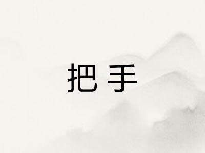把手 把手