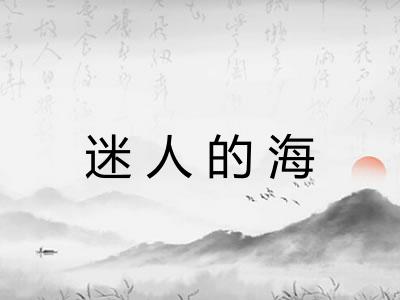 迷人的海