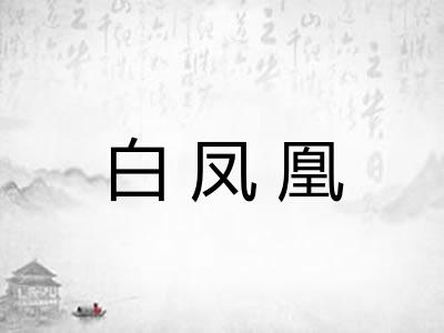 白凤凰 白凤凰