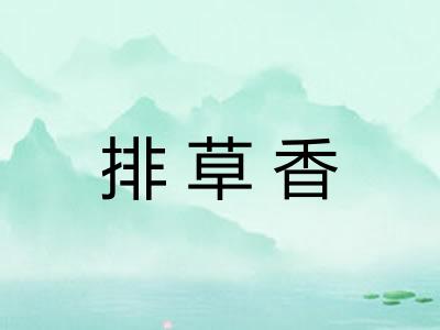 排草香