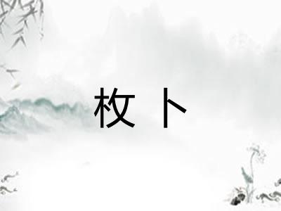 枚卜
