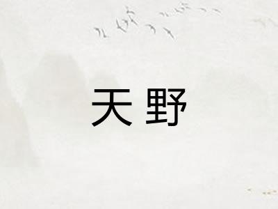 天野 天野