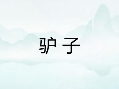 驴子 驴子
