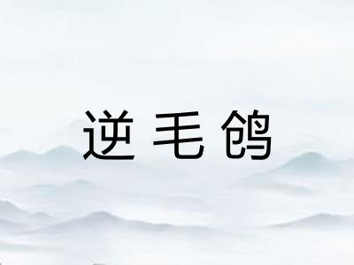 逆毛鸧