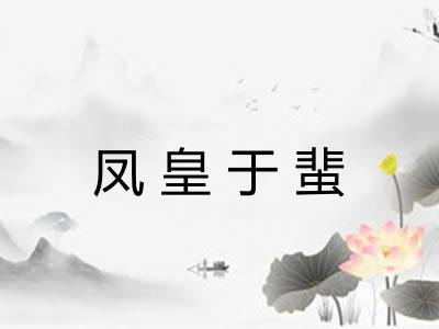 凤皇于蜚 凤皇于蜚