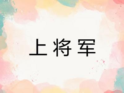 上将军 上将军