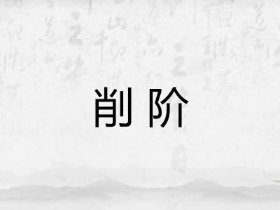 削阶