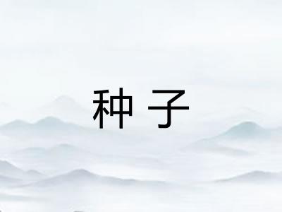 种子 种子