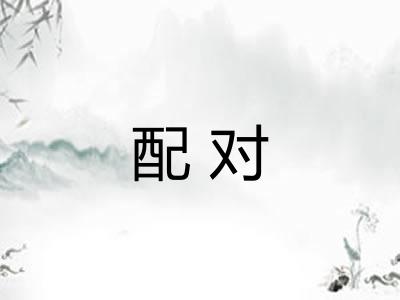 配对