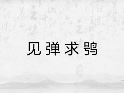 见弹求鸮