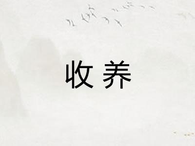 收养