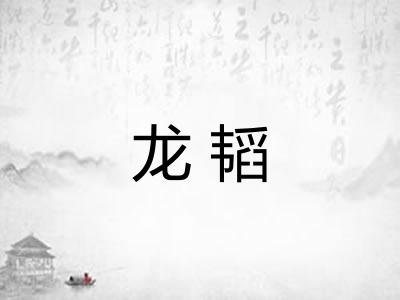 龙韬