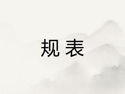 规表